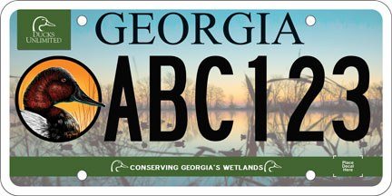 Georgia Ducks Unlimited license plate design